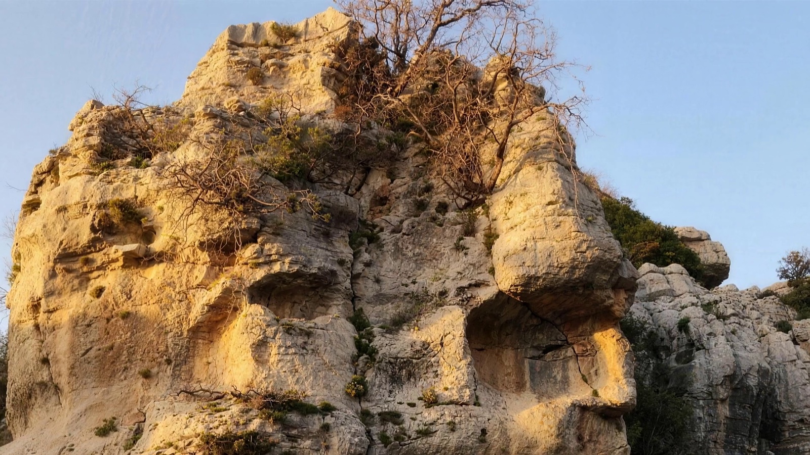 A weathered limestone outcrop above Douma at golden hour. Erosion has cut two human profiles into the rock, one on each side of the mass, with a bare tree growing from the summit.